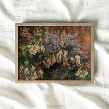 Load image into Gallery viewer, Allure