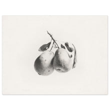 Load image into Gallery viewer, Pear Sketch
