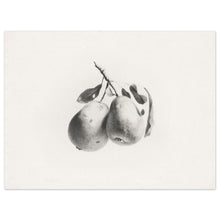 Load image into Gallery viewer, Pear Sketch