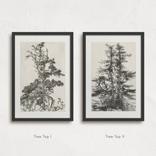 Load image into Gallery viewer, Tree Top I