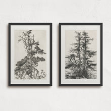 Load image into Gallery viewer, Tree Top II