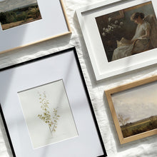 Load image into Gallery viewer, Pelargonium Study