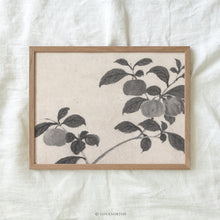 Load image into Gallery viewer, Persimmon Branches I