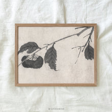 Load image into Gallery viewer, Persimmon Branches II
