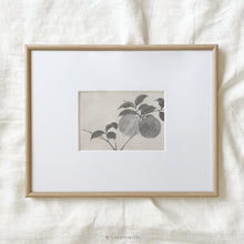 Load image into Gallery viewer, Apple Branch