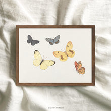 Load image into Gallery viewer, Butterflies