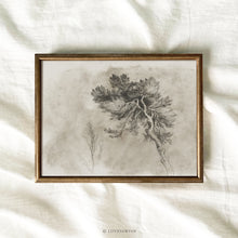 Load image into Gallery viewer, Cedar II