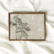 Load image into Gallery viewer, Cedar I