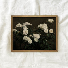 Load image into Gallery viewer, White Alba Roses