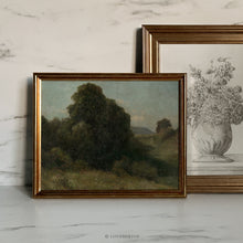 Load image into Gallery viewer, Forest Valley