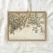 Load image into Gallery viewer, Old Apple Tree