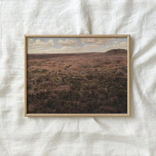 Load image into Gallery viewer, Pink Muhly Land