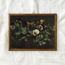 Load image into Gallery viewer, Pansies