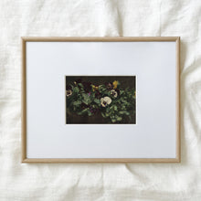 Load image into Gallery viewer, Pansies