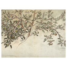 Load image into Gallery viewer, Old Apple Tree