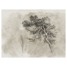 Load image into Gallery viewer, Cedar II