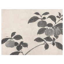 Load image into Gallery viewer, Persimmon Branches I