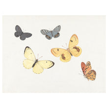 Load image into Gallery viewer, Butterflies