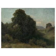Load image into Gallery viewer, Forest Valley