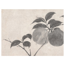 Load image into Gallery viewer, Apple Branch