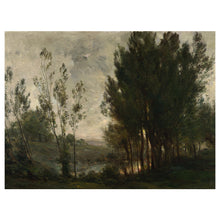 Load image into Gallery viewer, Middle of Forest