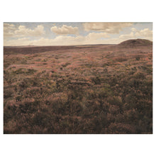 Load image into Gallery viewer, Pink Muhly Land
