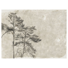 Load image into Gallery viewer, Cedar I