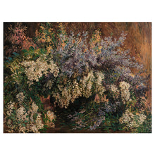 Load image into Gallery viewer, Allure