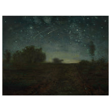 Load image into Gallery viewer, Starry Night