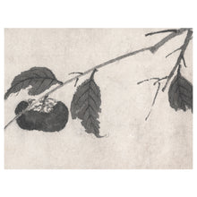 Load image into Gallery viewer, Persimmon Branches II