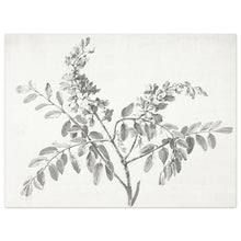 Load image into Gallery viewer, Blooming Branch