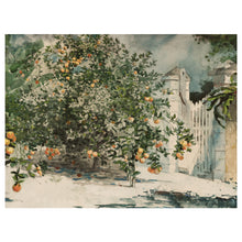 Load image into Gallery viewer, Orange Tree