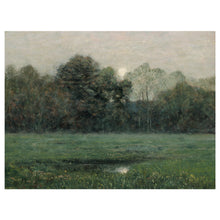 Load image into Gallery viewer, Midsummer Evening