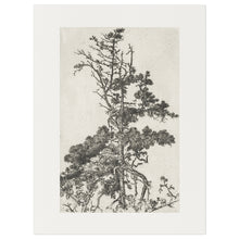 Load image into Gallery viewer, Tree Top I