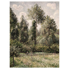 Load image into Gallery viewer, Poplars