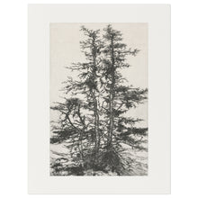 Load image into Gallery viewer, Tree Top II