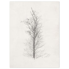 Load image into Gallery viewer, Solitude