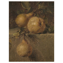 Load image into Gallery viewer, Williams Pears