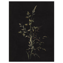 Load image into Gallery viewer, Meadow Grass

