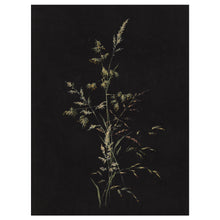 Load image into Gallery viewer, Meadow Grass