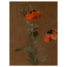 Load image into Gallery viewer, Amber Poppies