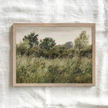 Load image into Gallery viewer, Oat Field