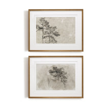 Load image into Gallery viewer, Cedar II