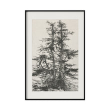 Load image into Gallery viewer, Tree Top II