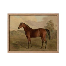 Load image into Gallery viewer, Cheval