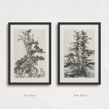 Load image into Gallery viewer, Tree Top I
