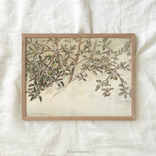 Load image into Gallery viewer, Old Apple Tree
