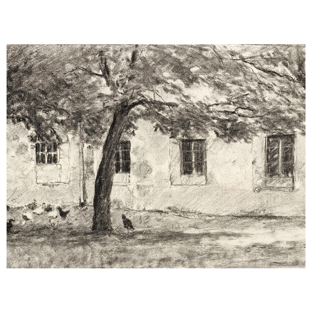 Sketch of Backyard