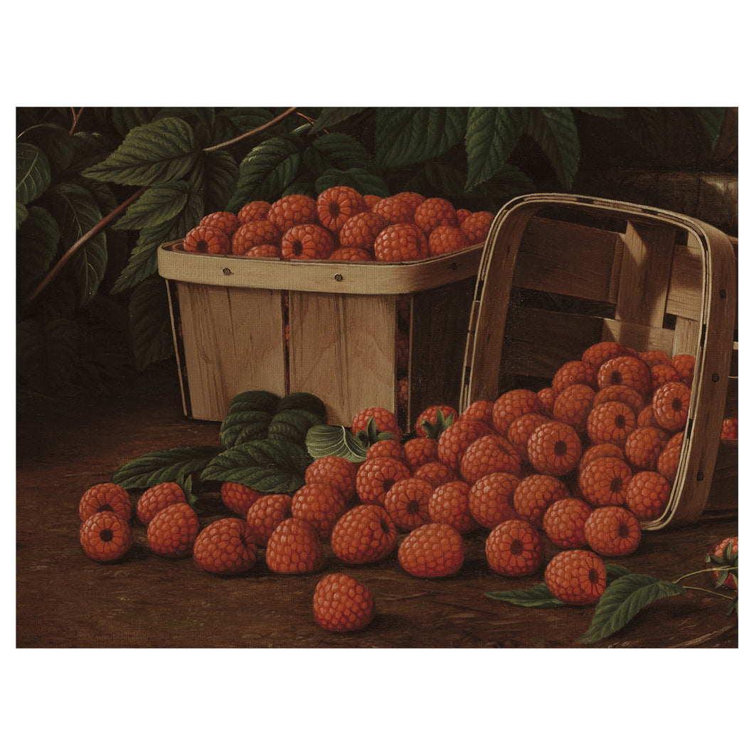 Raspberries in Basket
