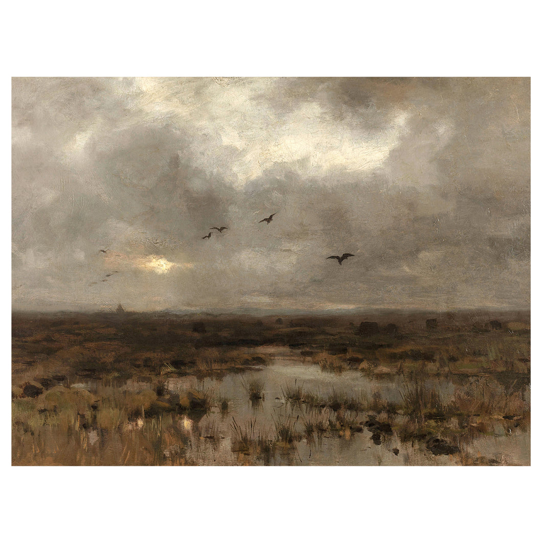 A Marsh